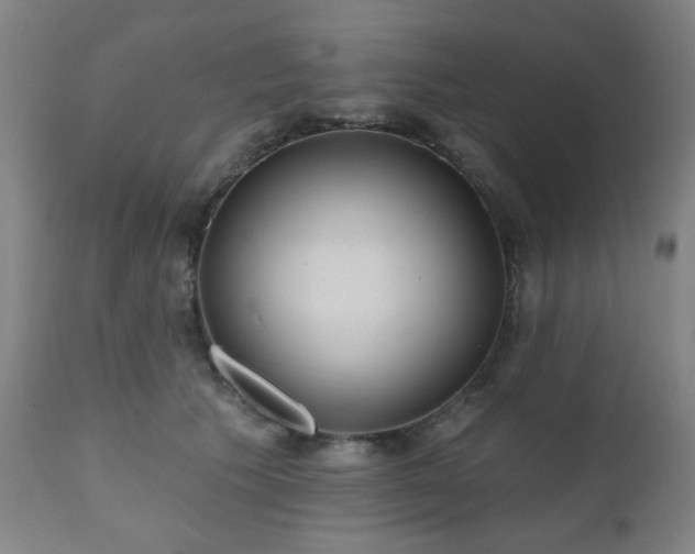 X0000110960609200906191314