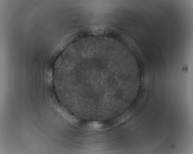 X0000110960610200906191314