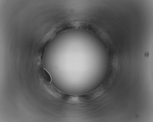 X0000110960611200906191314