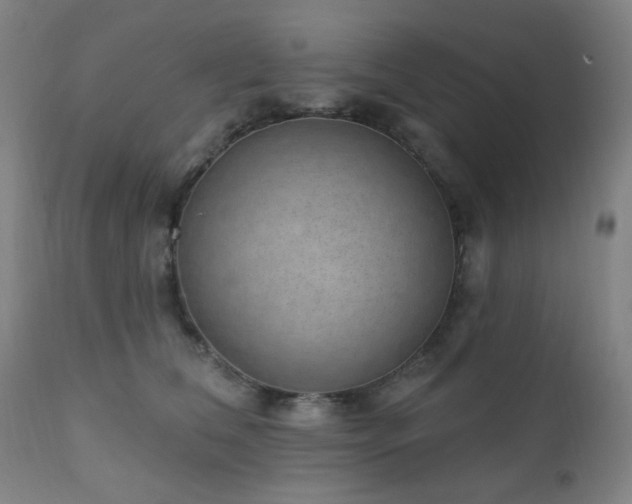 X0000110960612200906191314