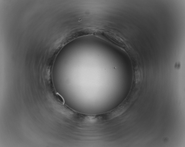 X0000110960613200906191314
