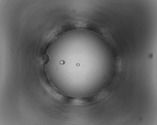 X0000110960614200906191314
