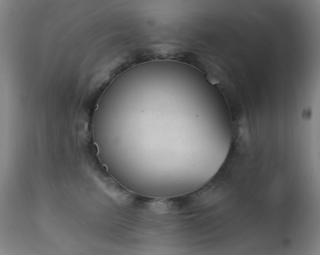 X0000110960615200906191314