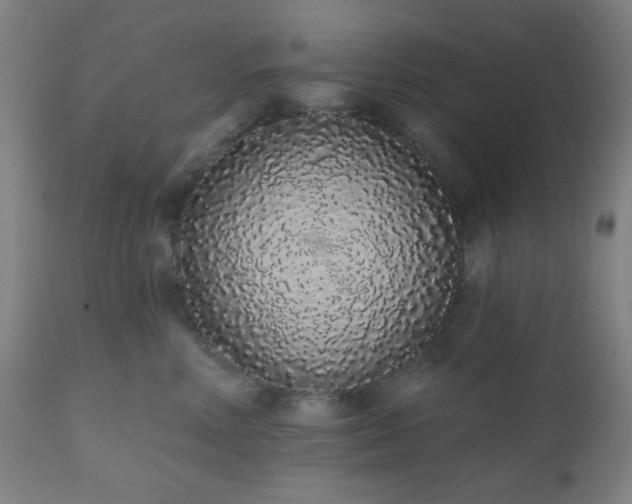 X0000110960618200906191314