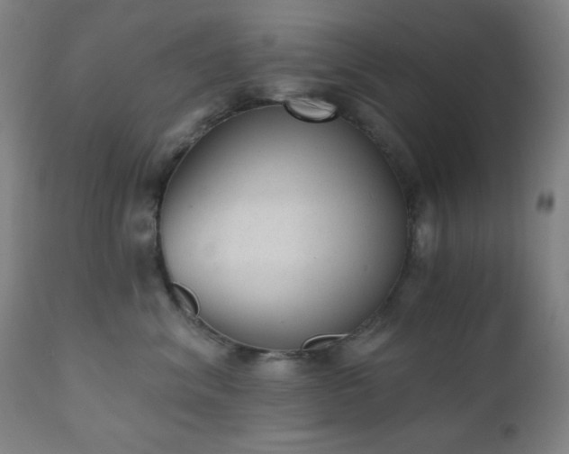 X0000110960620200906191314