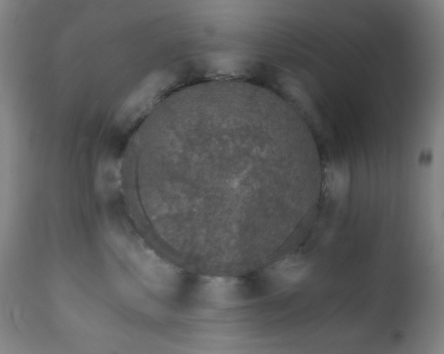X0000110960621200906191314