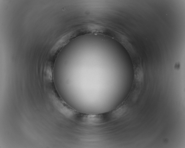 X0000110960622200906191314