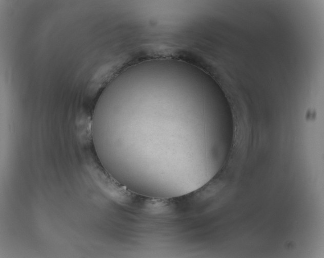 X0000110960624200906191314