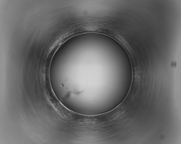 X0000110960626200906191313