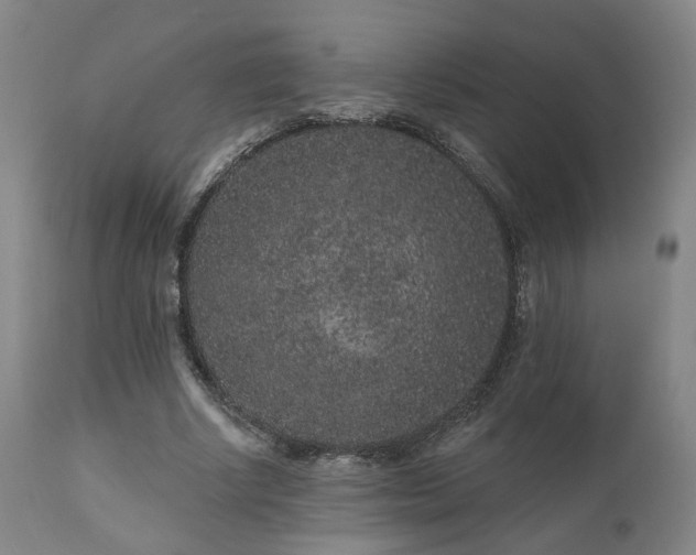 X0000110960634200906191313