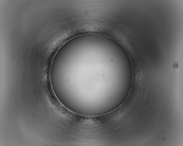 X0000110960635200906191313