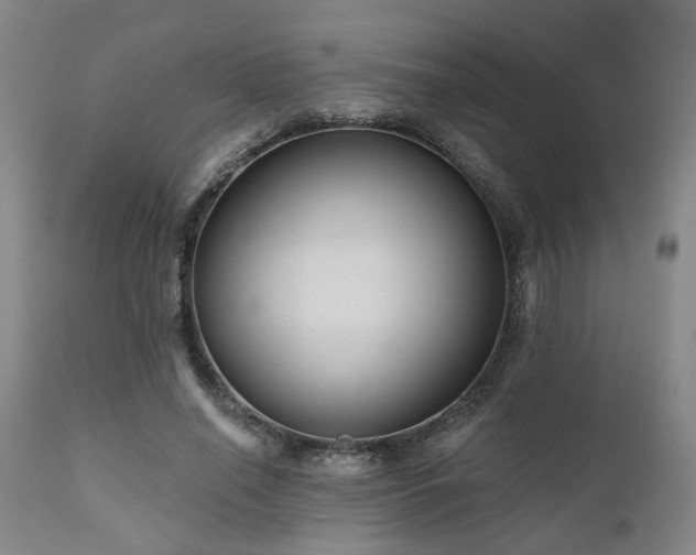 X0000110960638200906191313