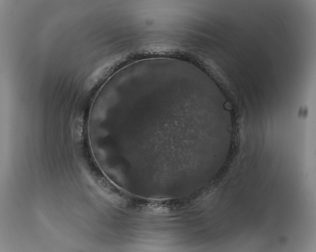 X0000110960640200906191313