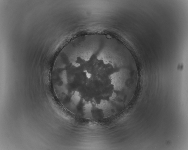 X0000110960641200906191313