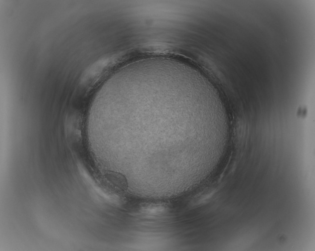 X0000110960643200906191313