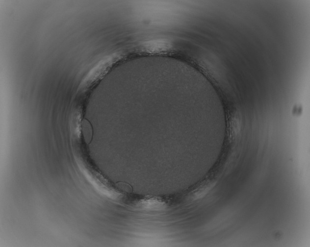 X0000110960644200906191313