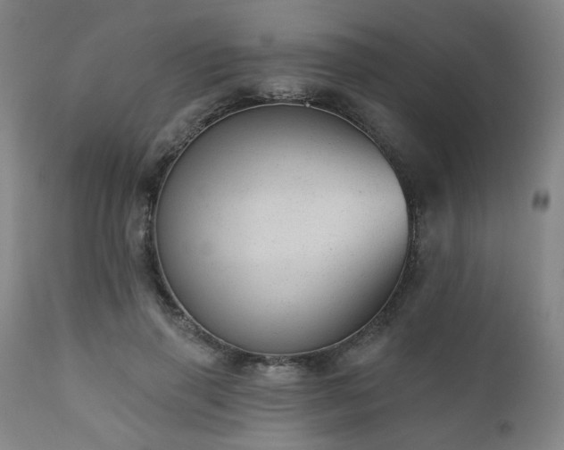 X0000110960645200906191313