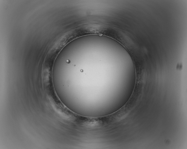 X0000110960646200906191313
