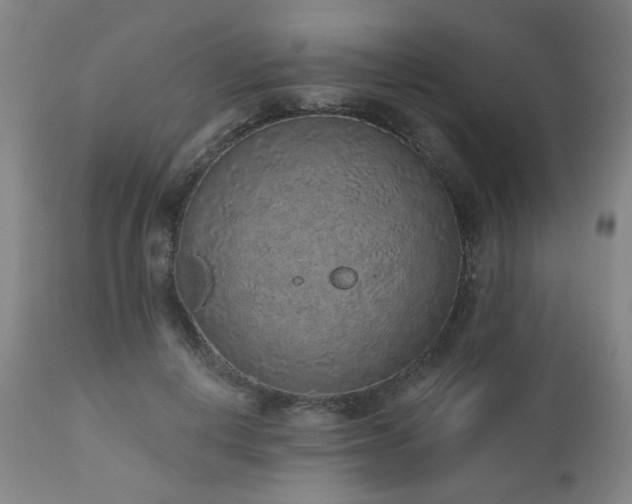 X0000110960648200906191313