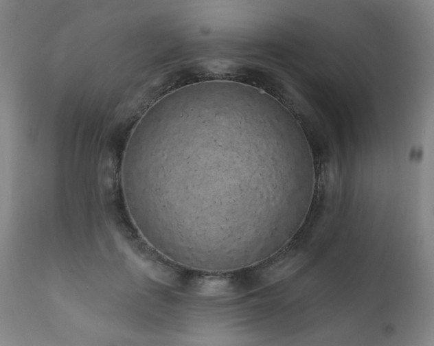 X0000110960651200906191313