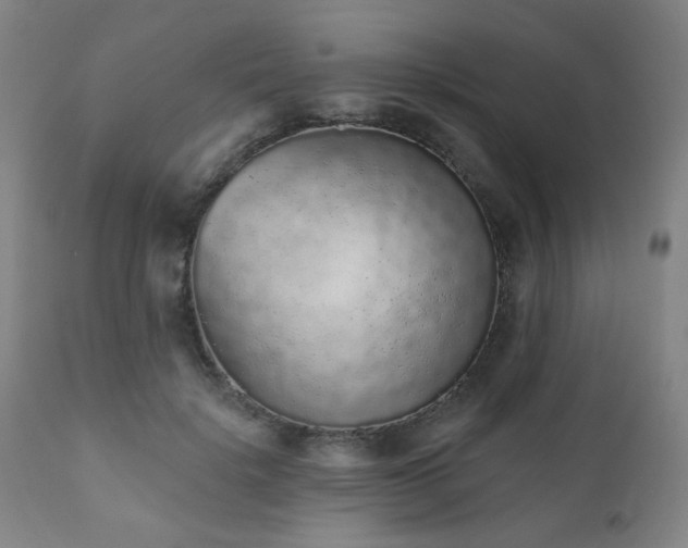 X0000110960652200906191313