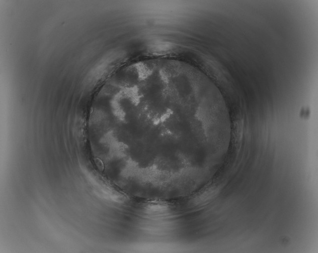 X0000110960653200906191313