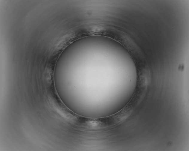 X0000110960654200906191313