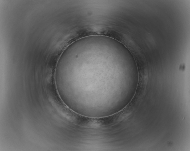 X0000110960656200906191313