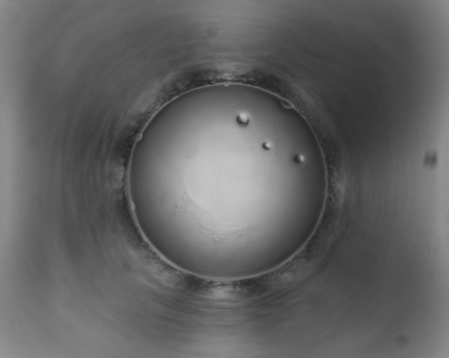 X0000110960657200906191313