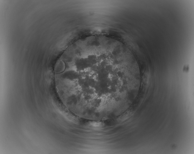 X0000110960659200906191313