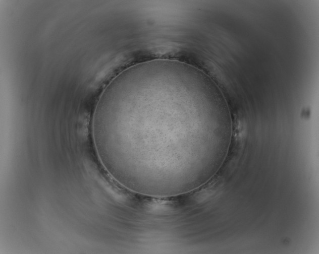 X0000110960664200906191314