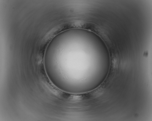 X0000110960665200906191314