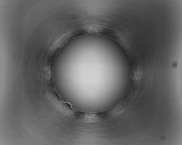 X0000110960666200906191314