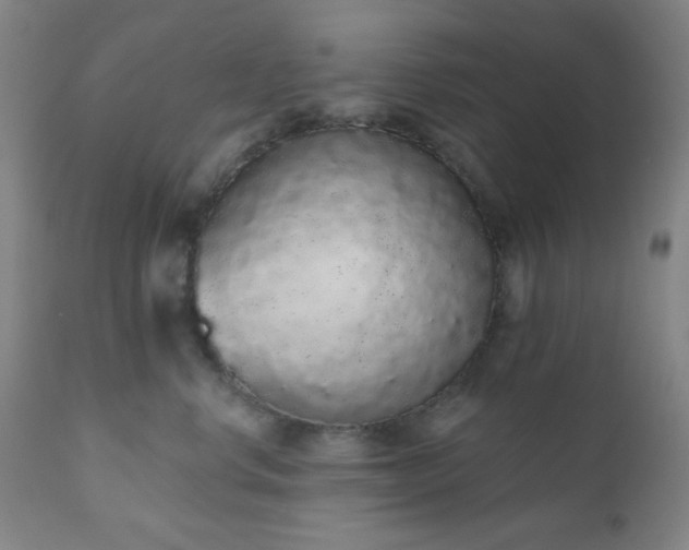 X0000110960668200906191314