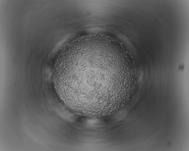 X0000110960669200906191314