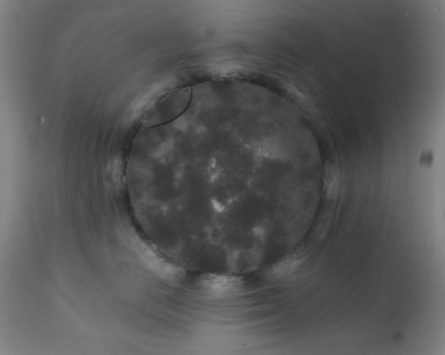 X0000110960670200906191314