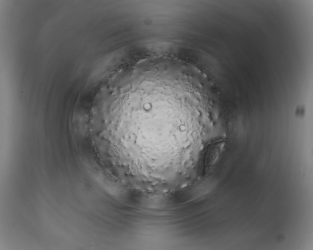 X0000110960671200906191314