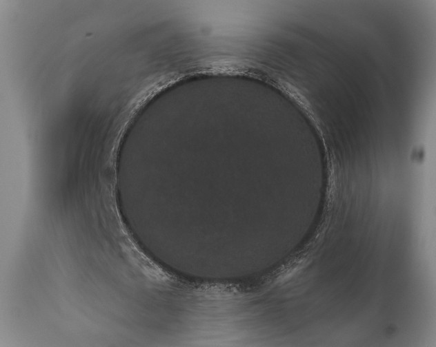 X0000110960673200906191313