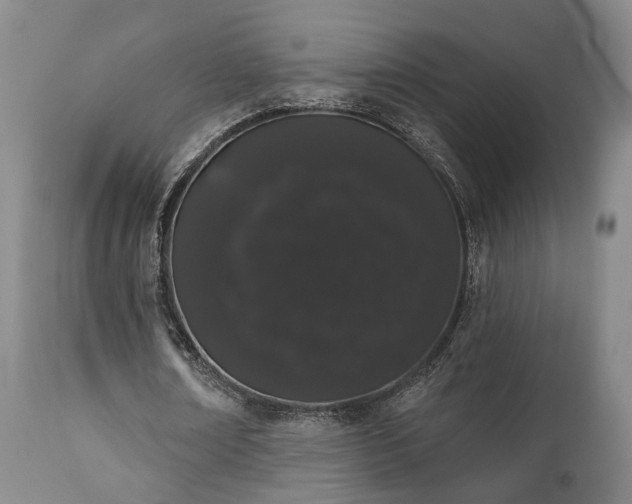 X0000110960674200906191313