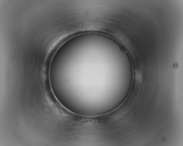 X0000110960676200906191313