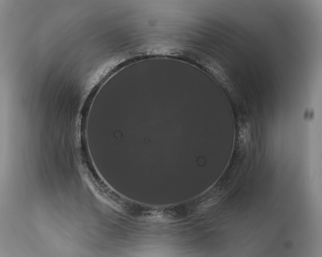 X0000110960678200906191313