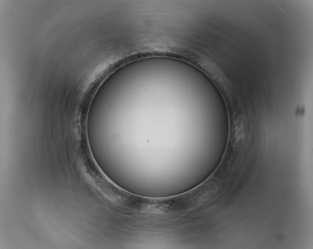 X0000110960680200906191313