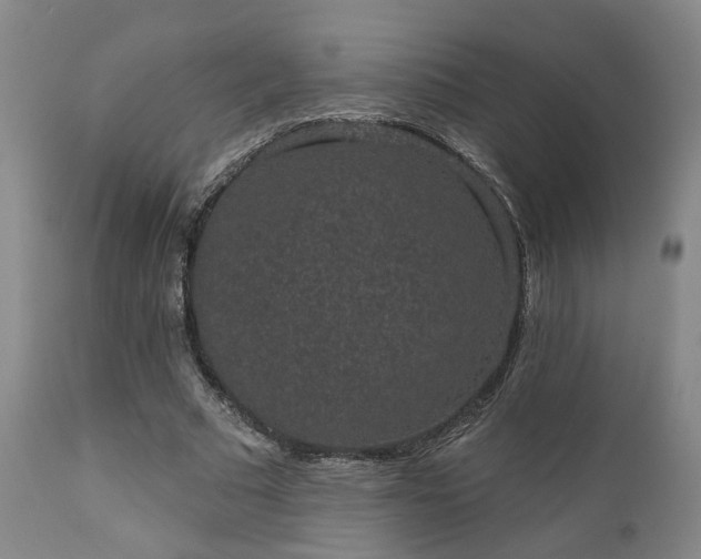 X0000110960681200906191313