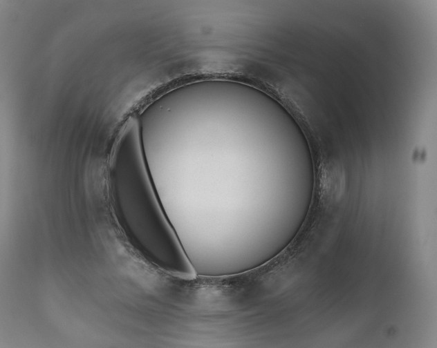 X0000110960684200906191313