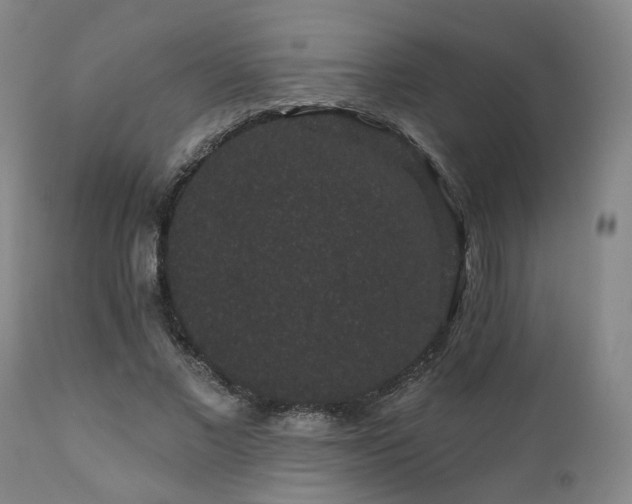 X0000110960685200906191313