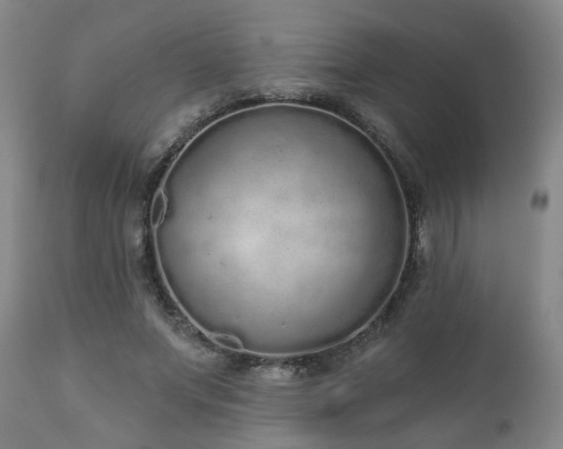 X0000110960687200906191313