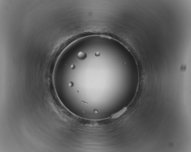 X0000110960688200906191313