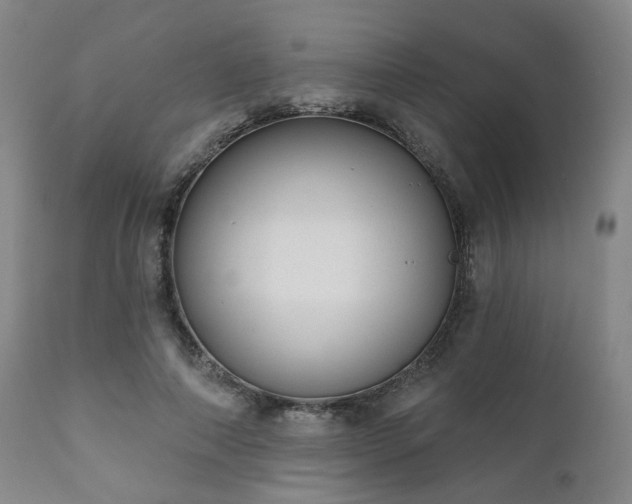 X0000110960690200906191312