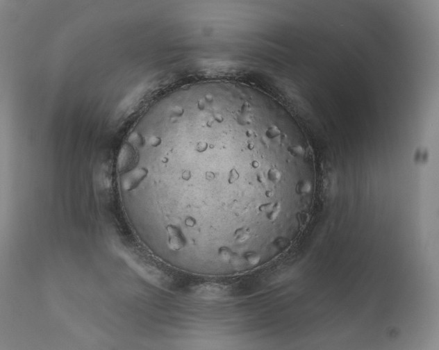 X0000110960691200906191312