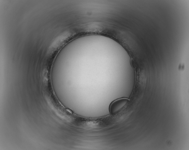 X0000110960692200906191312